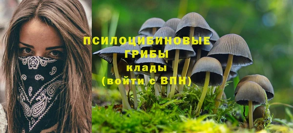 2c-b Абинск